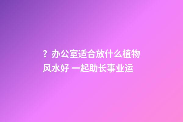 ？办公室适合放什么植物风水好 一起助长事业运